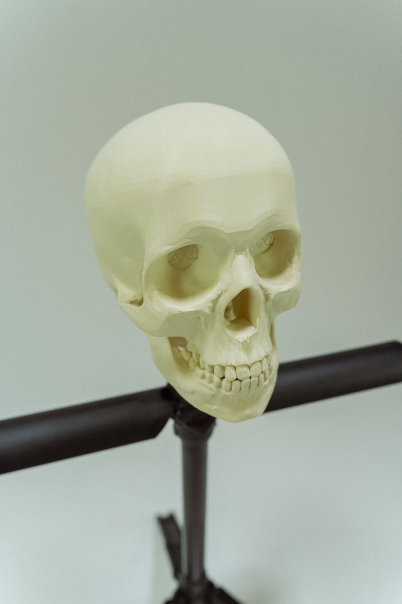 The Skull