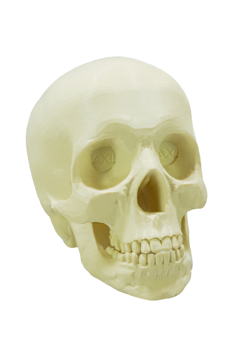 The Skull